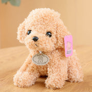 Teddy dog plush toy cute pet