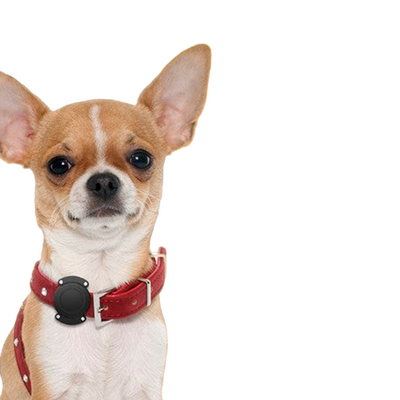 Pet Fashion Collar Waterproof Protection Cover