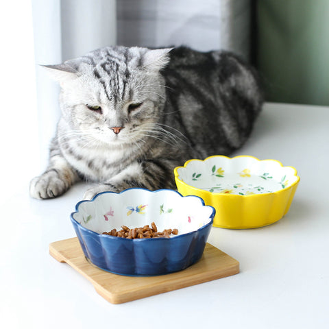 Ceramic pet bowl