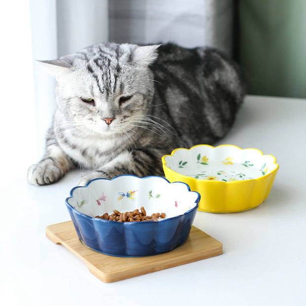 Ceramic pet bowl