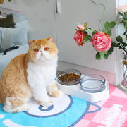 Hexagonal inclined bowl pet bowl