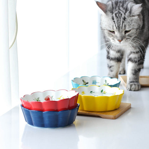 Ceramic pet bowl