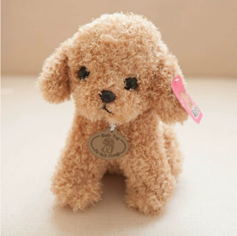 Teddy dog plush toy cute pet